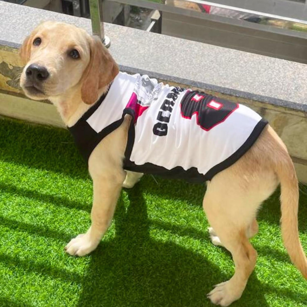 Summer Printed T Shirts for Dogs