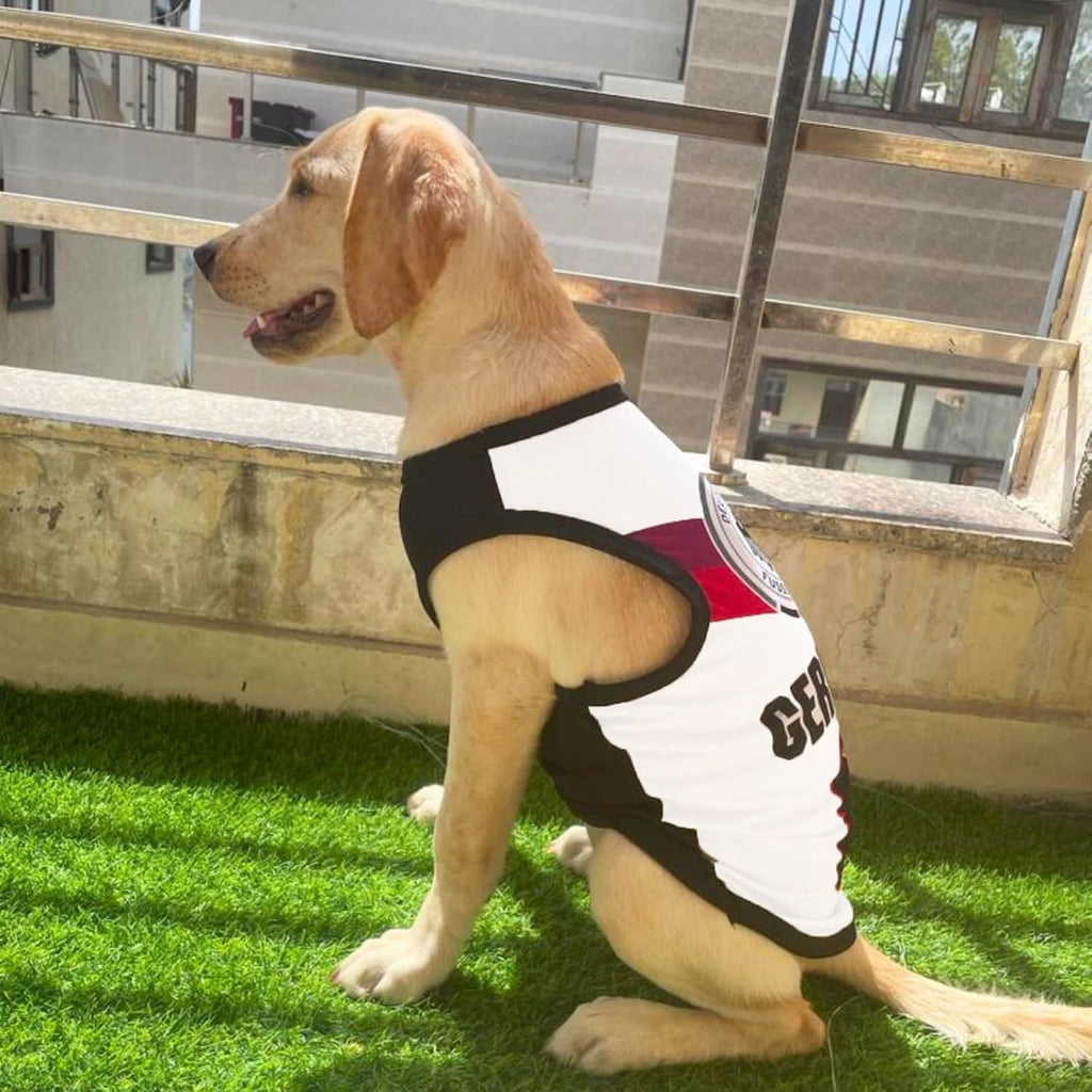 Summer Printed T Shirts for Dogs