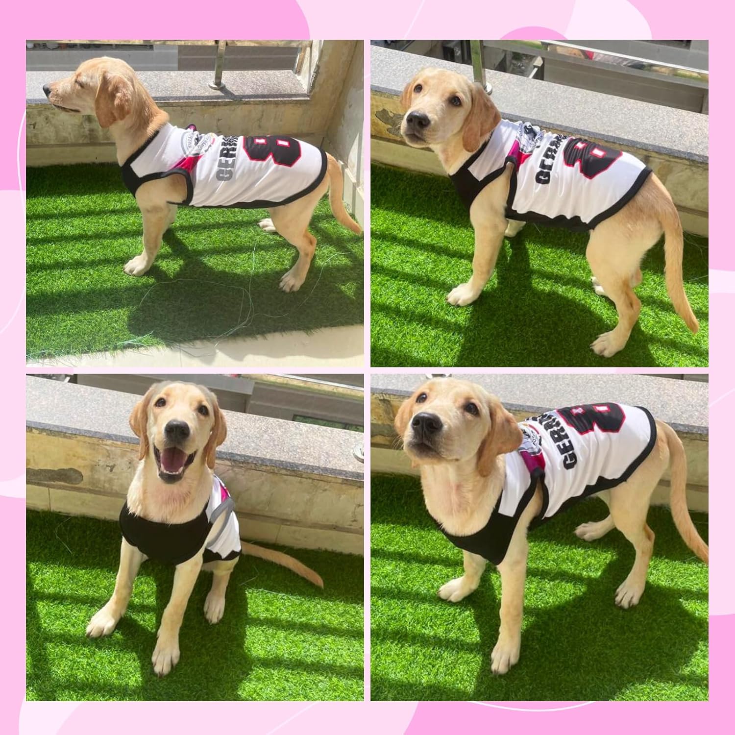 Summer Printed T Shirts for Dogs