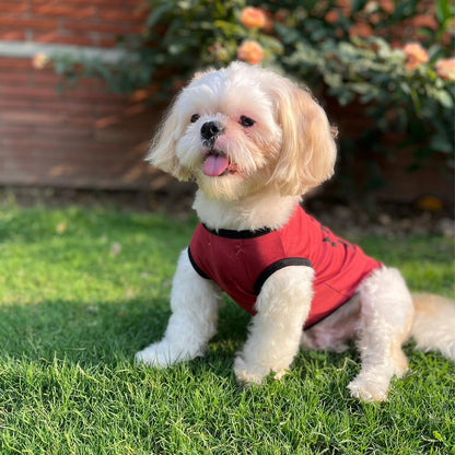 Mama’s Boy Printed Dog T-Shirt