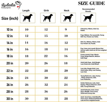 Mama’s Boy Printed Dog T-Shirt