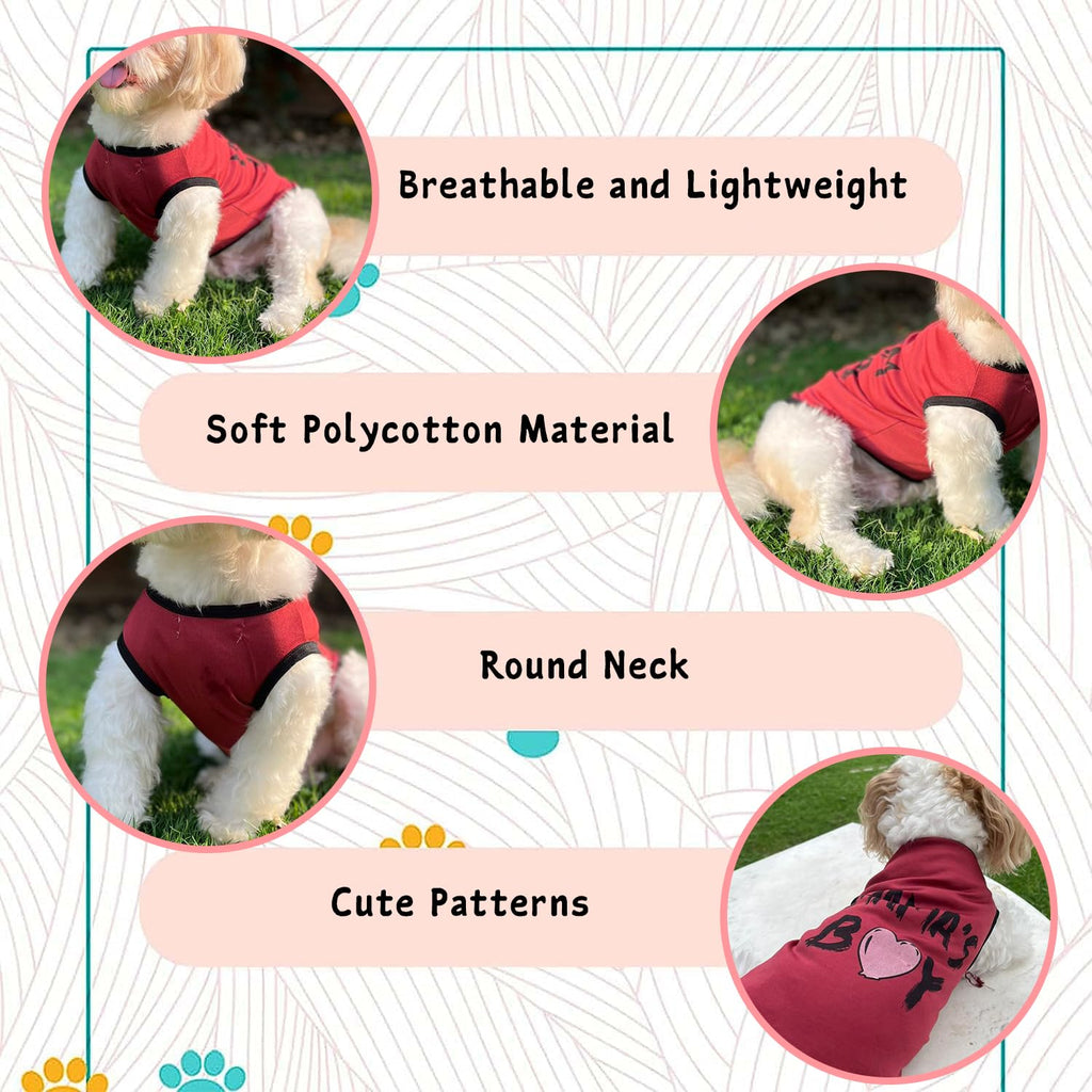 Mama’s Boy Printed Dog T-Shirt