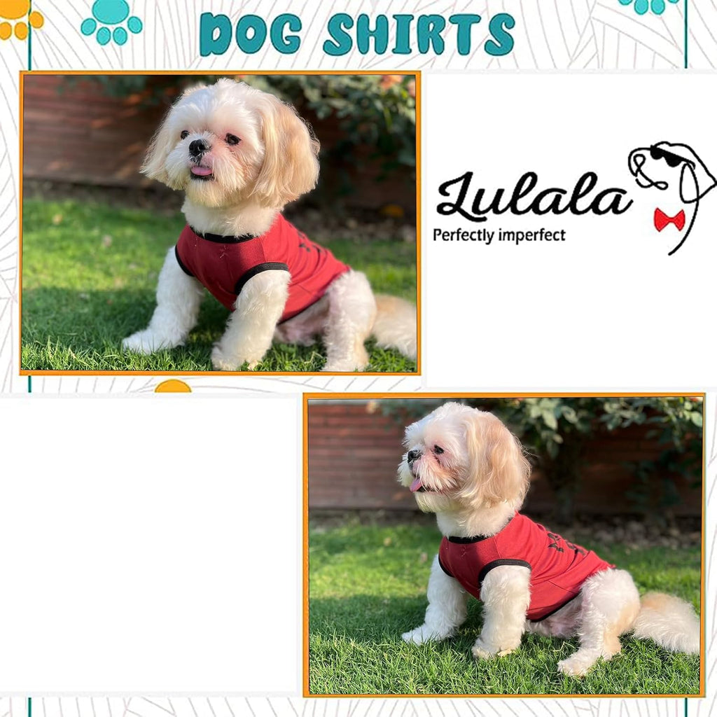 Mama’s Boy Printed Dog T-Shirt