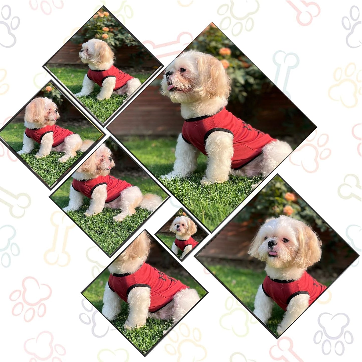 Mama’s Boy Printed Dog T-Shirt