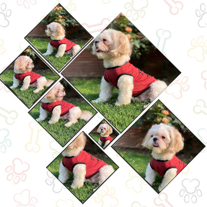 Mama’s Boy Printed Dog T-Shirt