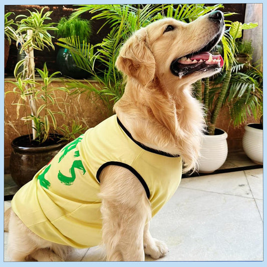 Mama’s Boy Printed Dog T-Shirt