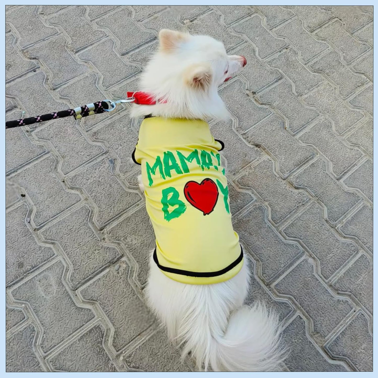 Mama’s Boy Printed Dog T-Shirt