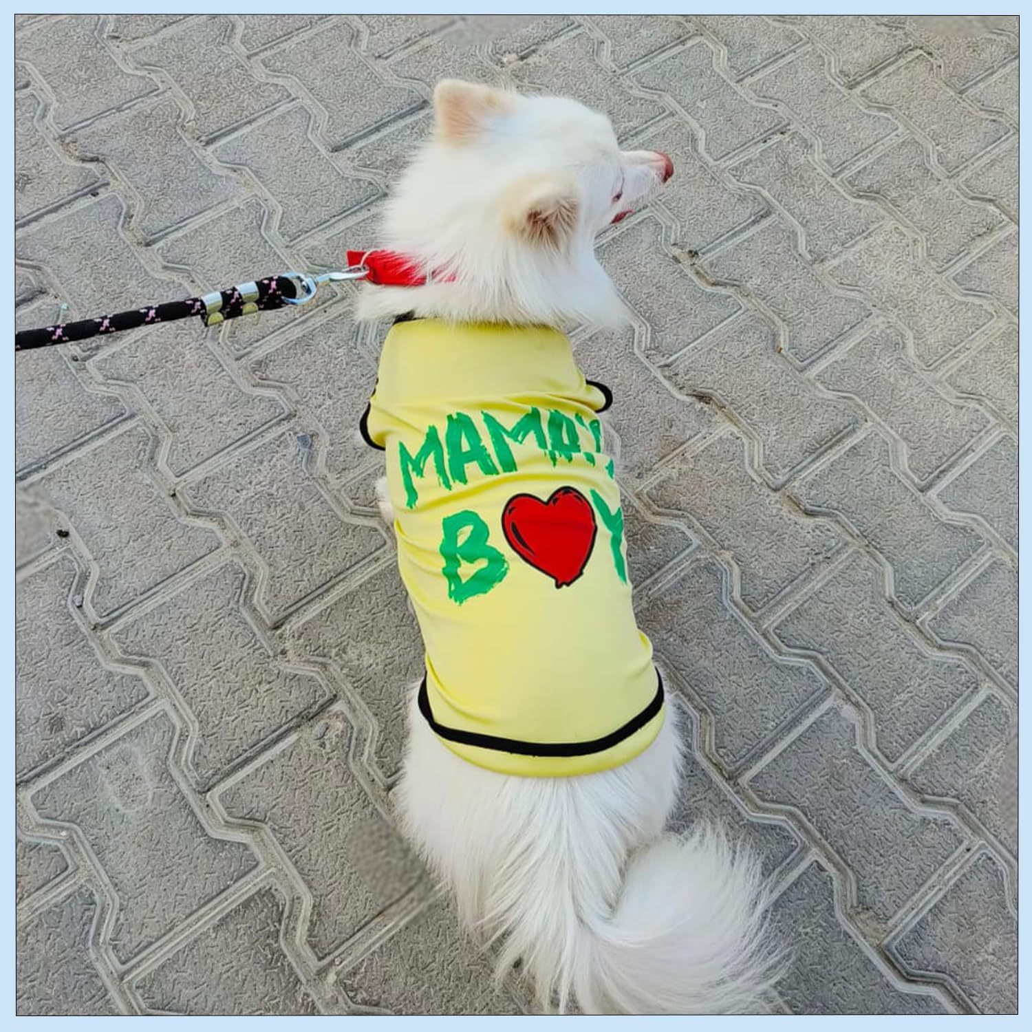 Mama’s Boy Printed Dog T-Shirt