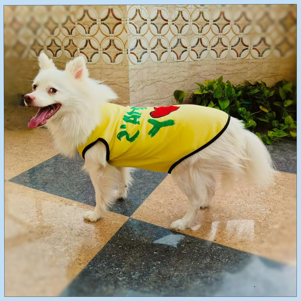 Mama’s Boy Printed Dog T-Shirt