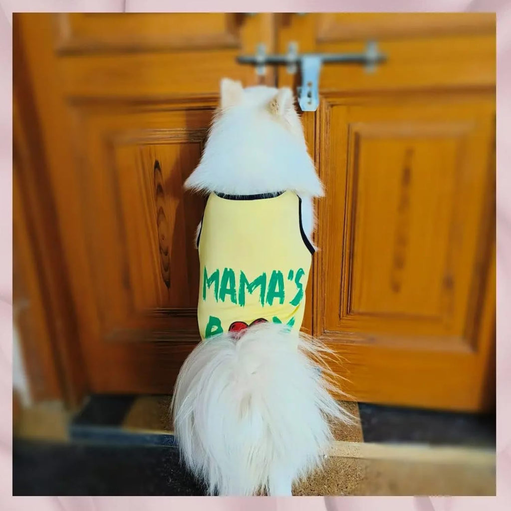 Mama’s Boy Printed Dog T-Shirt