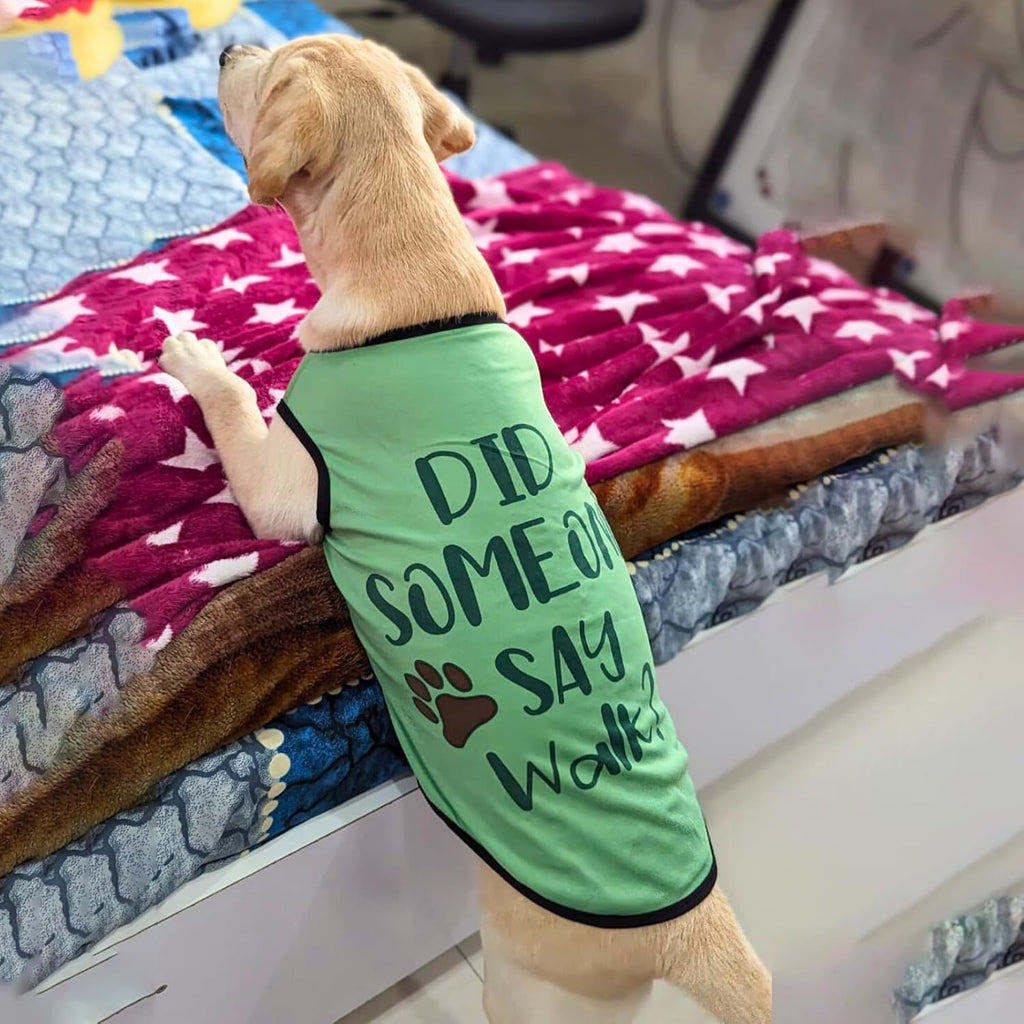 Cute Printed Summer T Shirts for Dogs