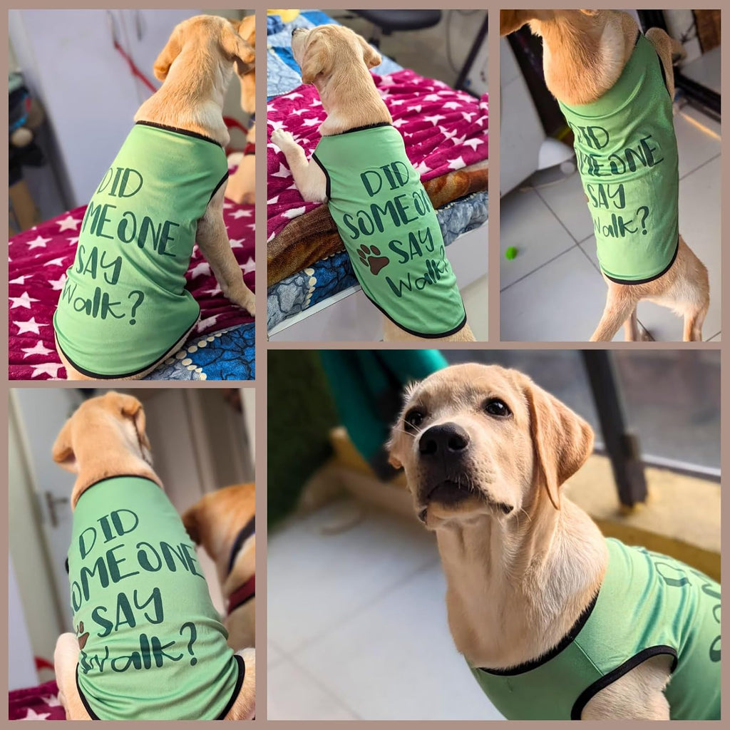 Cute Printed Summer T Shirts for Dogs
