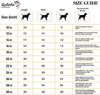 Cute Printed Summer T Shirts for Dogs