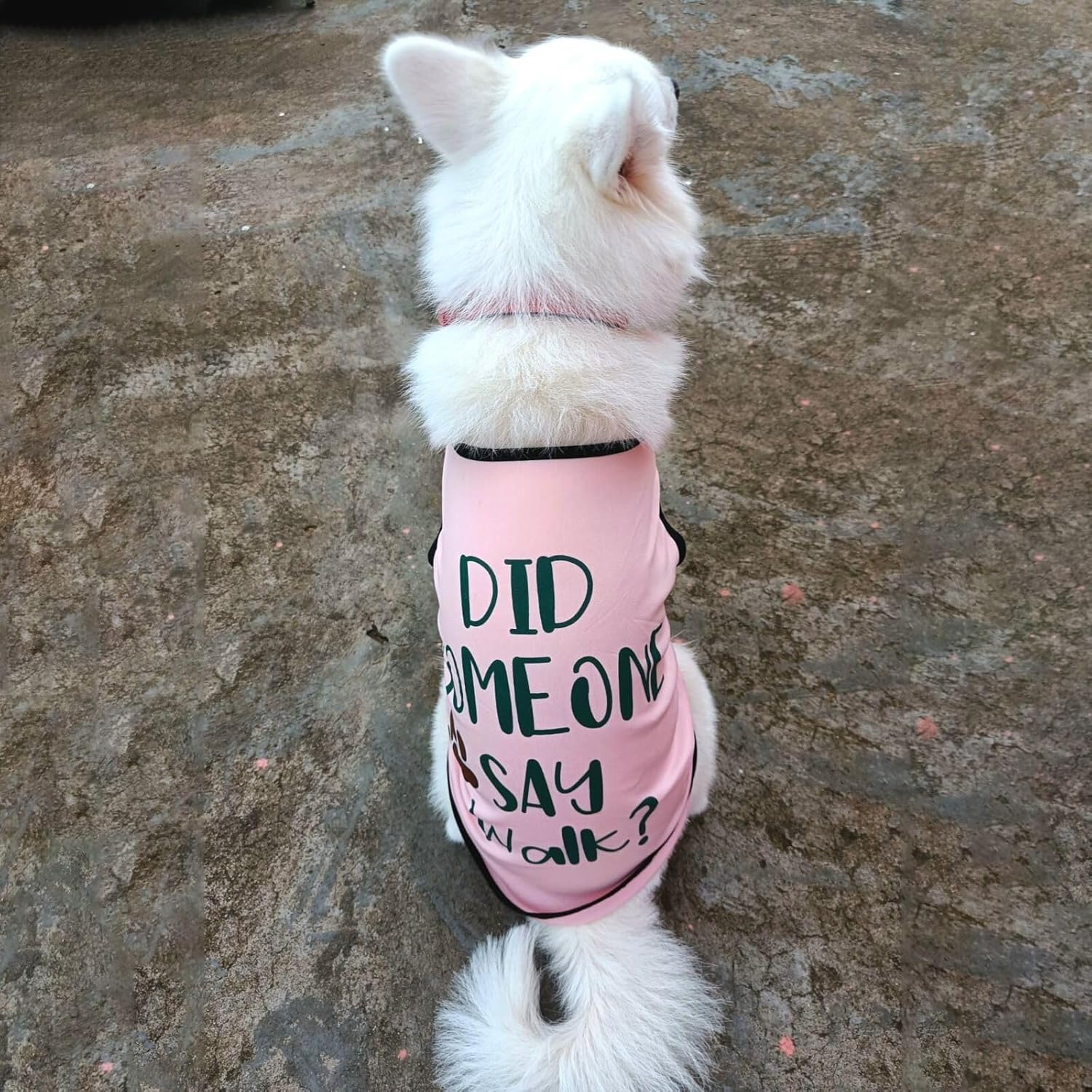 Cute Printed Summer T Shirts for Dogs