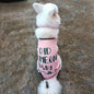 Cute Printed Summer T Shirts for Dogs
