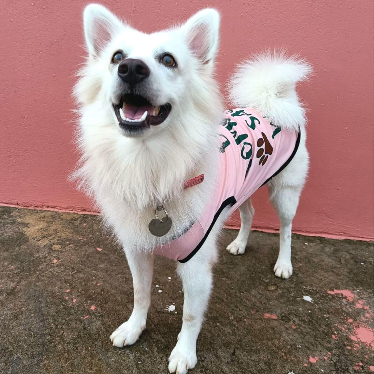 Cute Printed Summer T Shirts for Dogs
