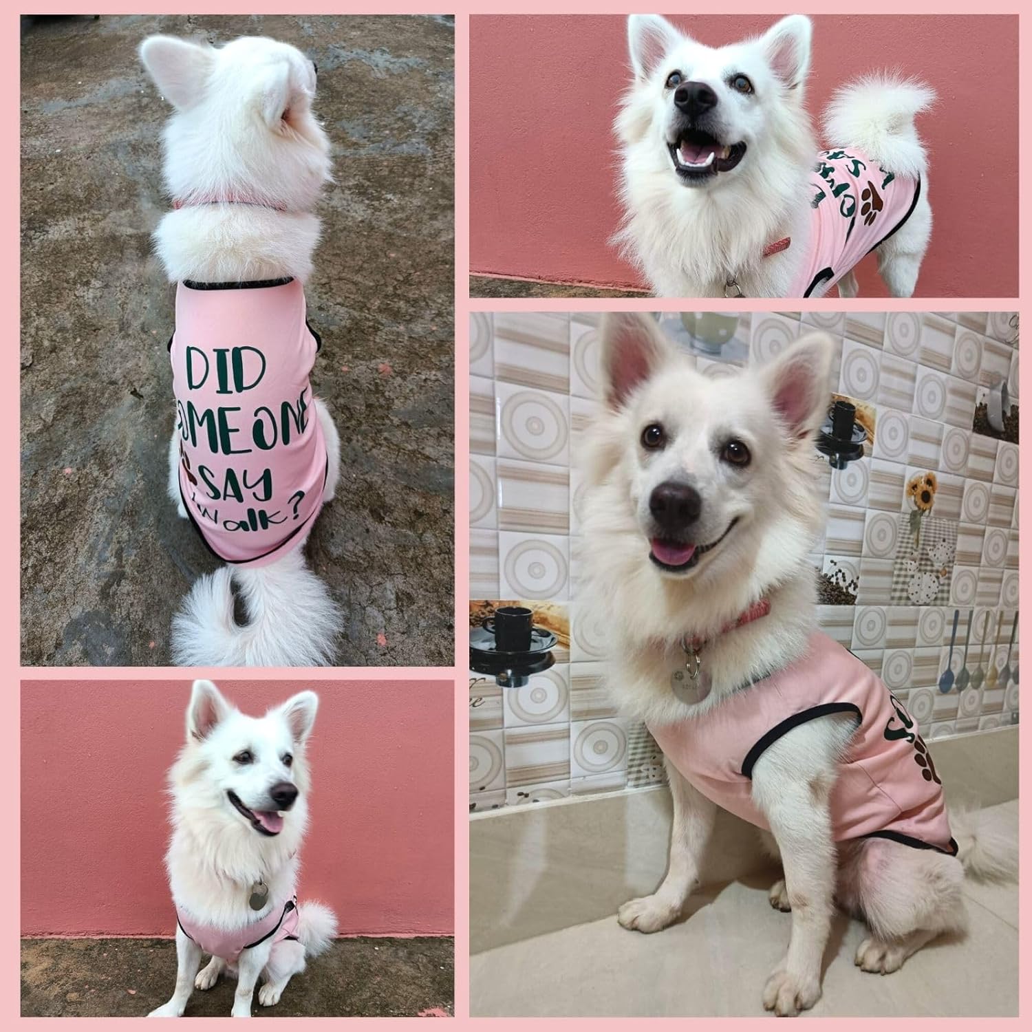Cute Printed Summer T Shirts for Dogs