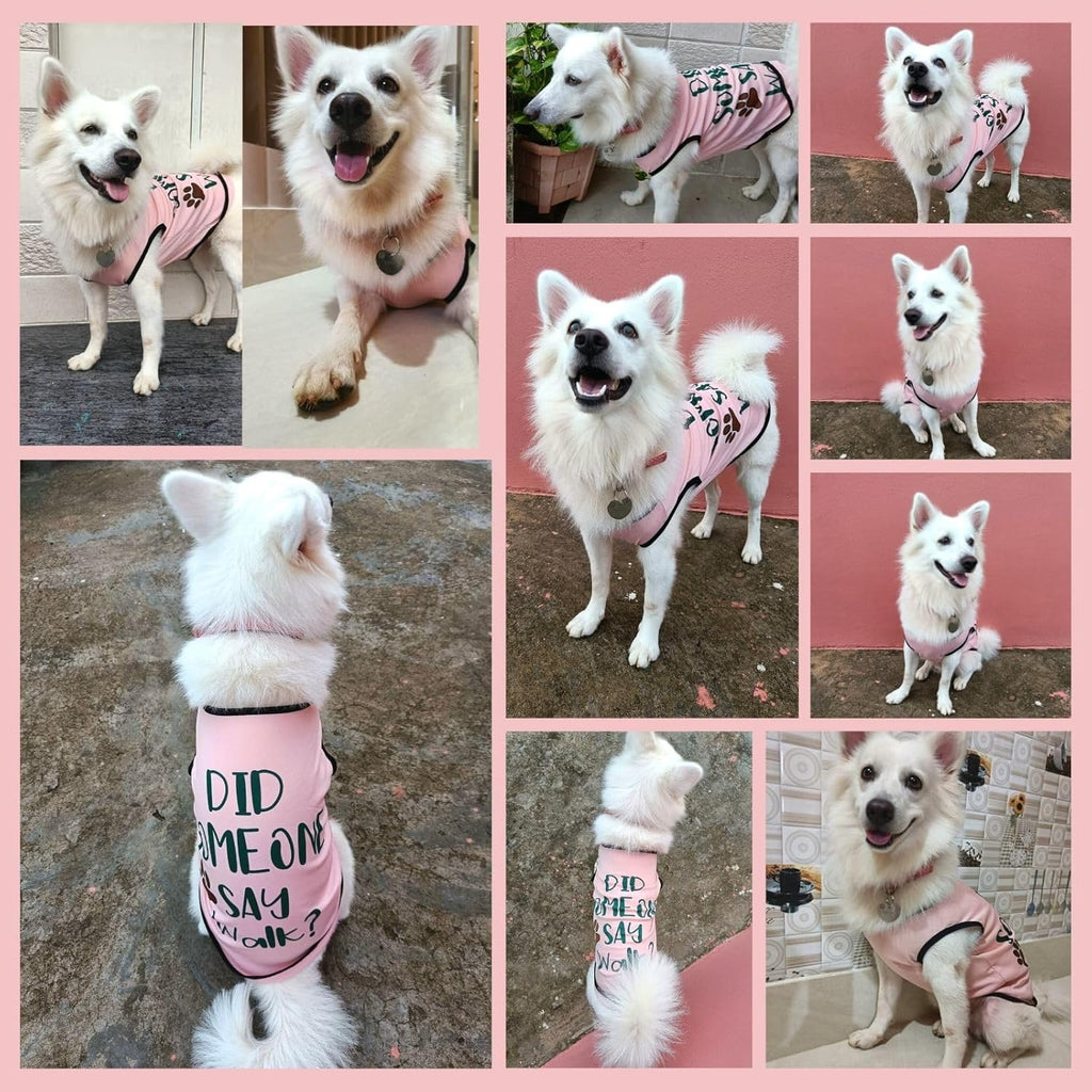 Cute Printed Summer T Shirts for Dogs
