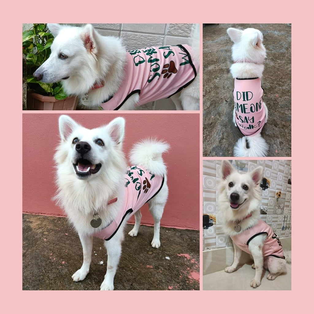 Cute Printed Summer T Shirts for Dogs