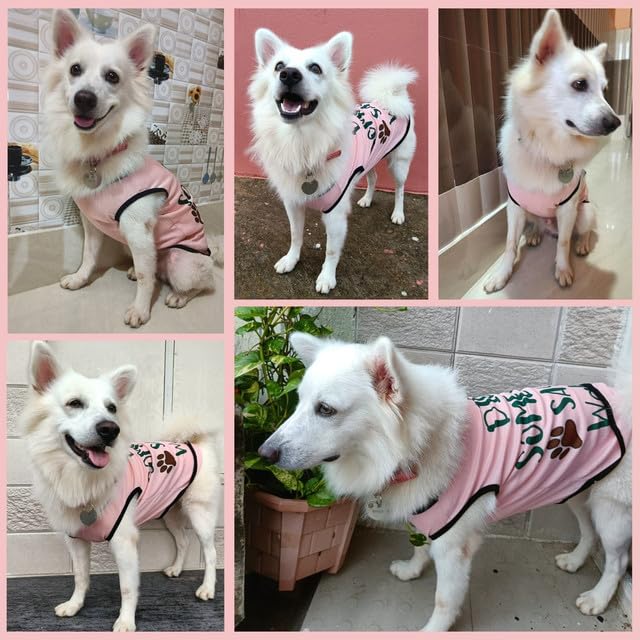 Cute Printed Summer T Shirts for Dogs