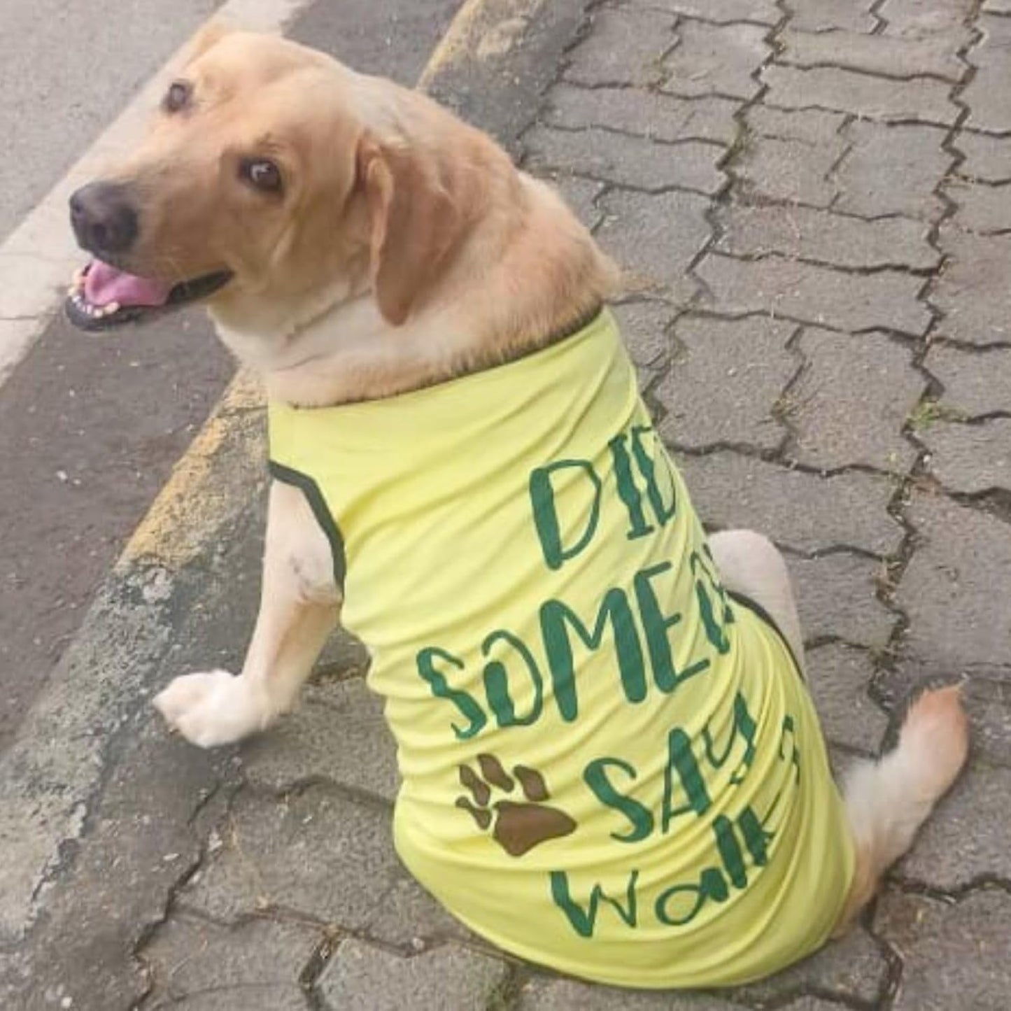 Cute Printed Summer T Shirts for Dogs