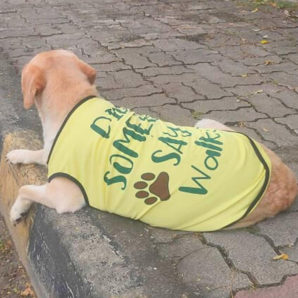 Cute Printed Summer T Shirts for Dogs