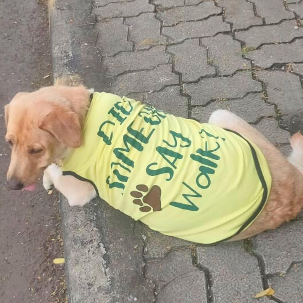 Cute Printed Summer T Shirts for Dogs
