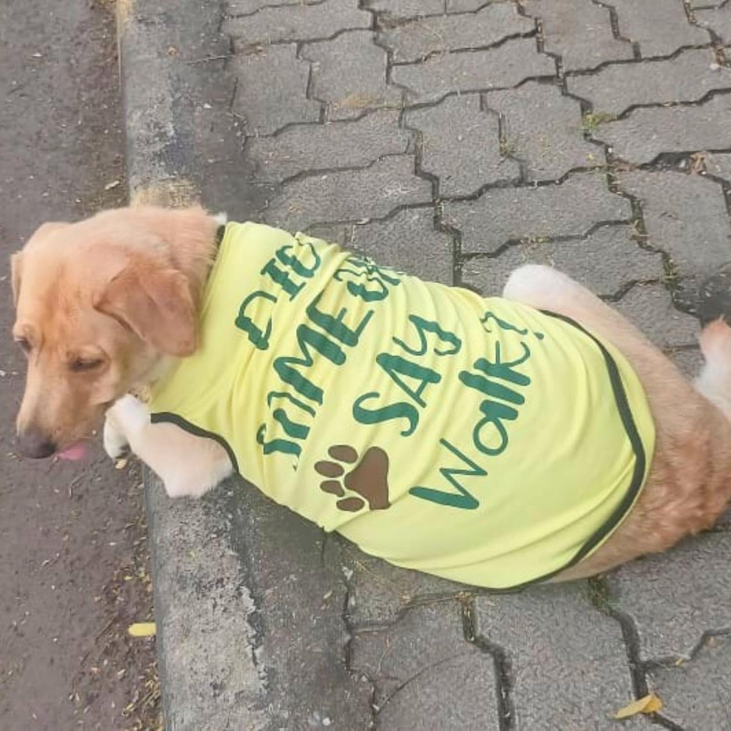 Cute Printed Summer T Shirts for Dogs