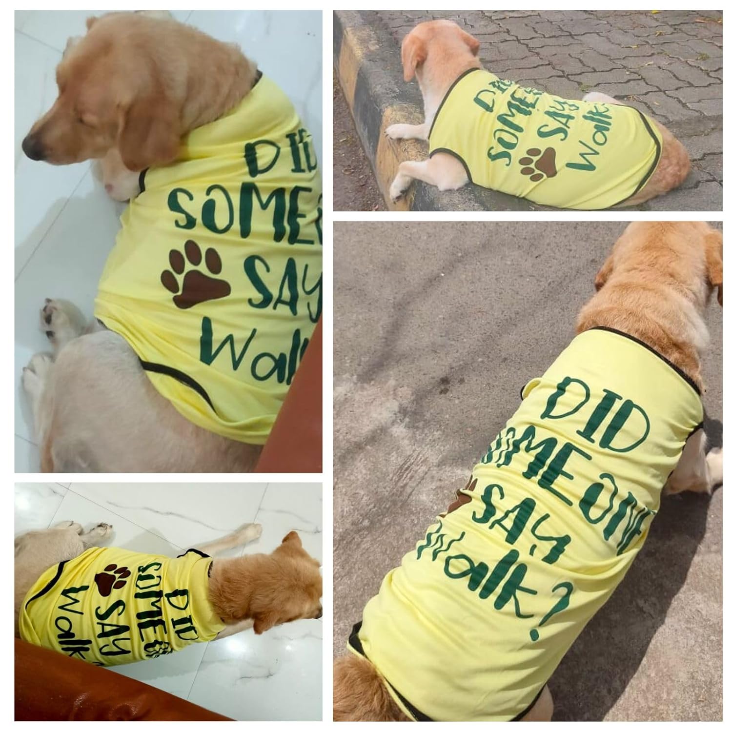 Cute Printed Summer T Shirts for Dogs