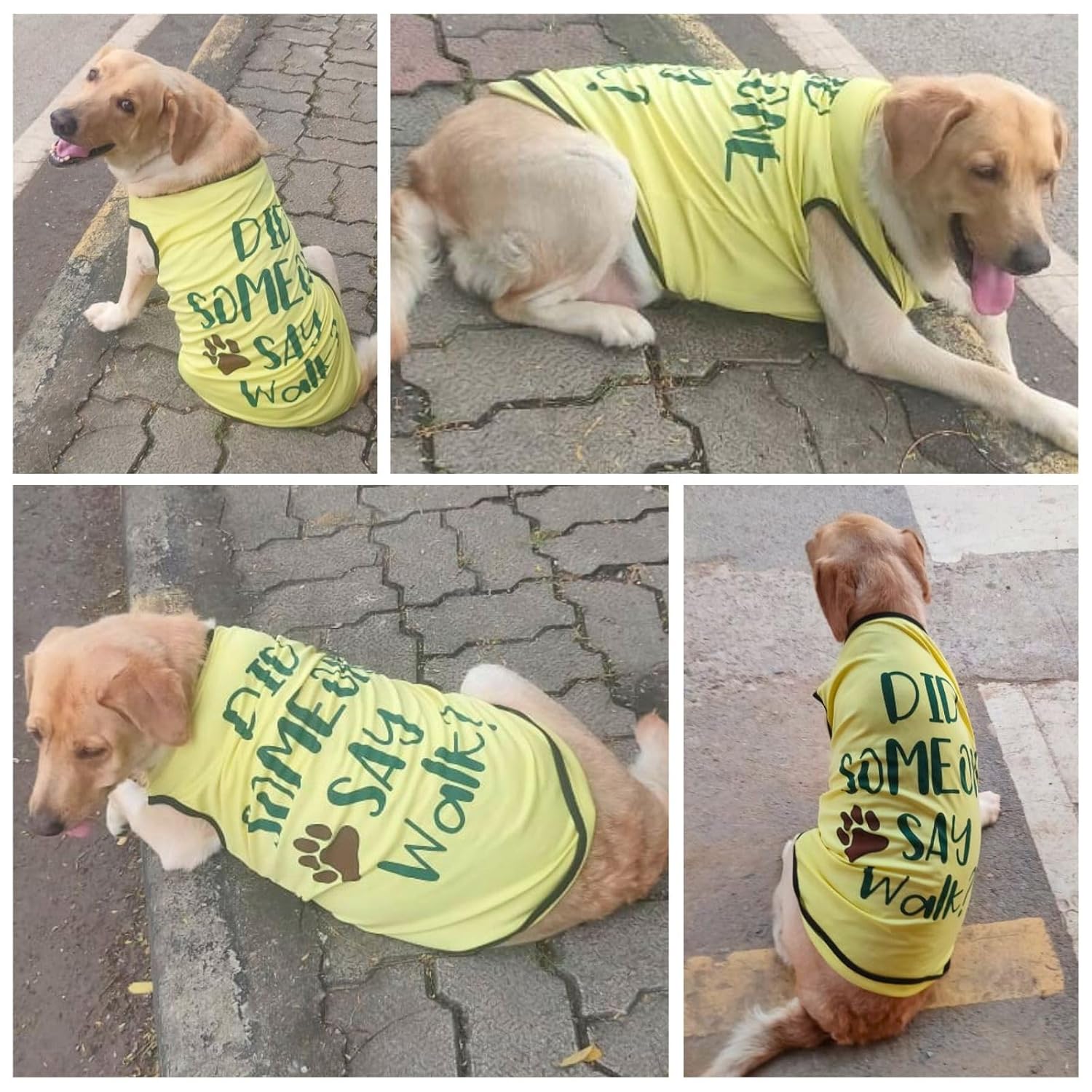 Cute Printed Summer T Shirts for Dogs