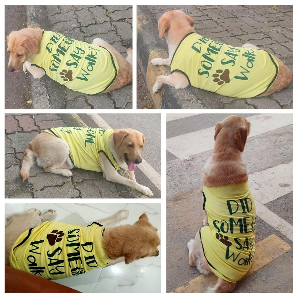 Cute Printed Summer T Shirts for Dogs