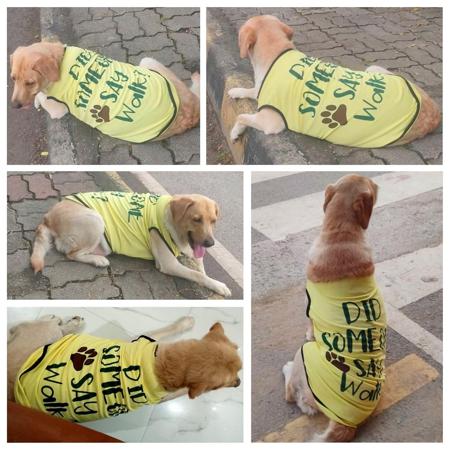Cute Printed Summer T Shirts for Dogs