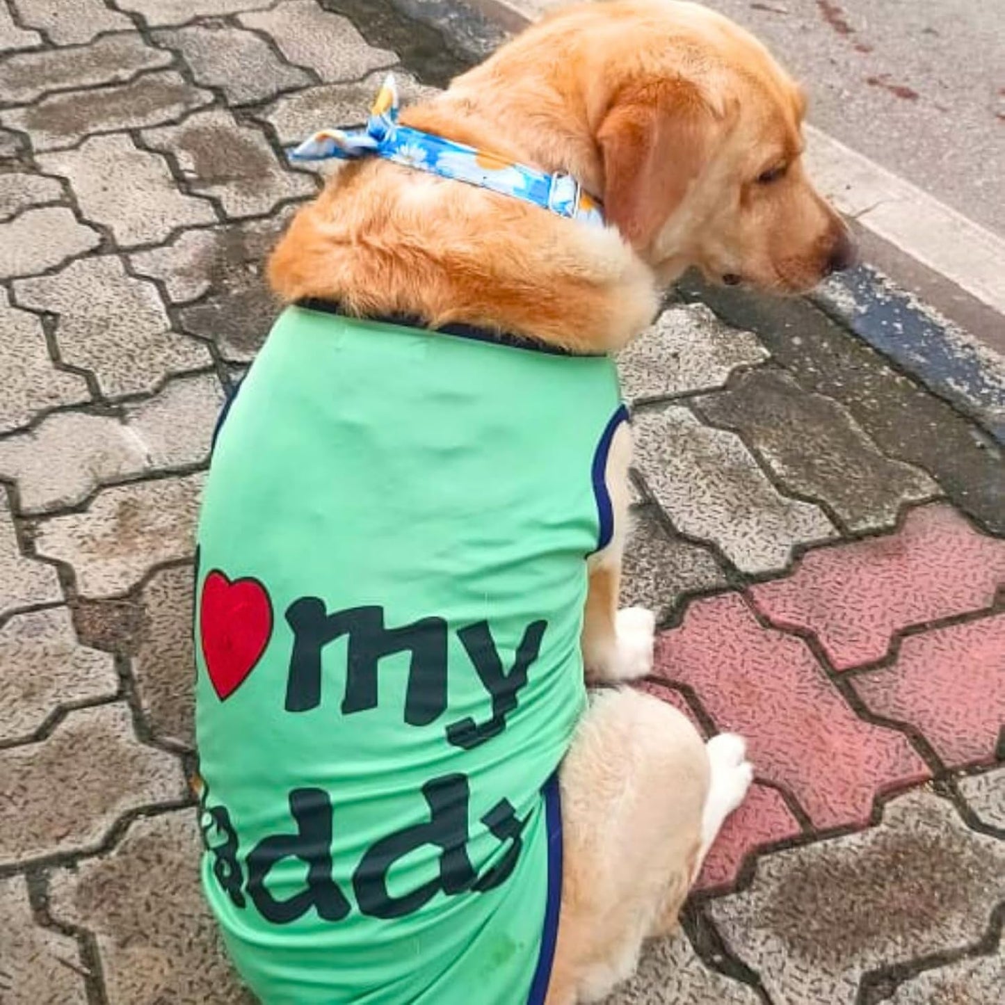 Printed Sleeveless Pet T-Shirt