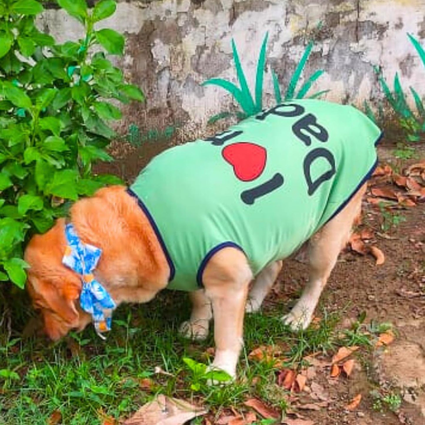 Printed Sleeveless Pet T-Shirt