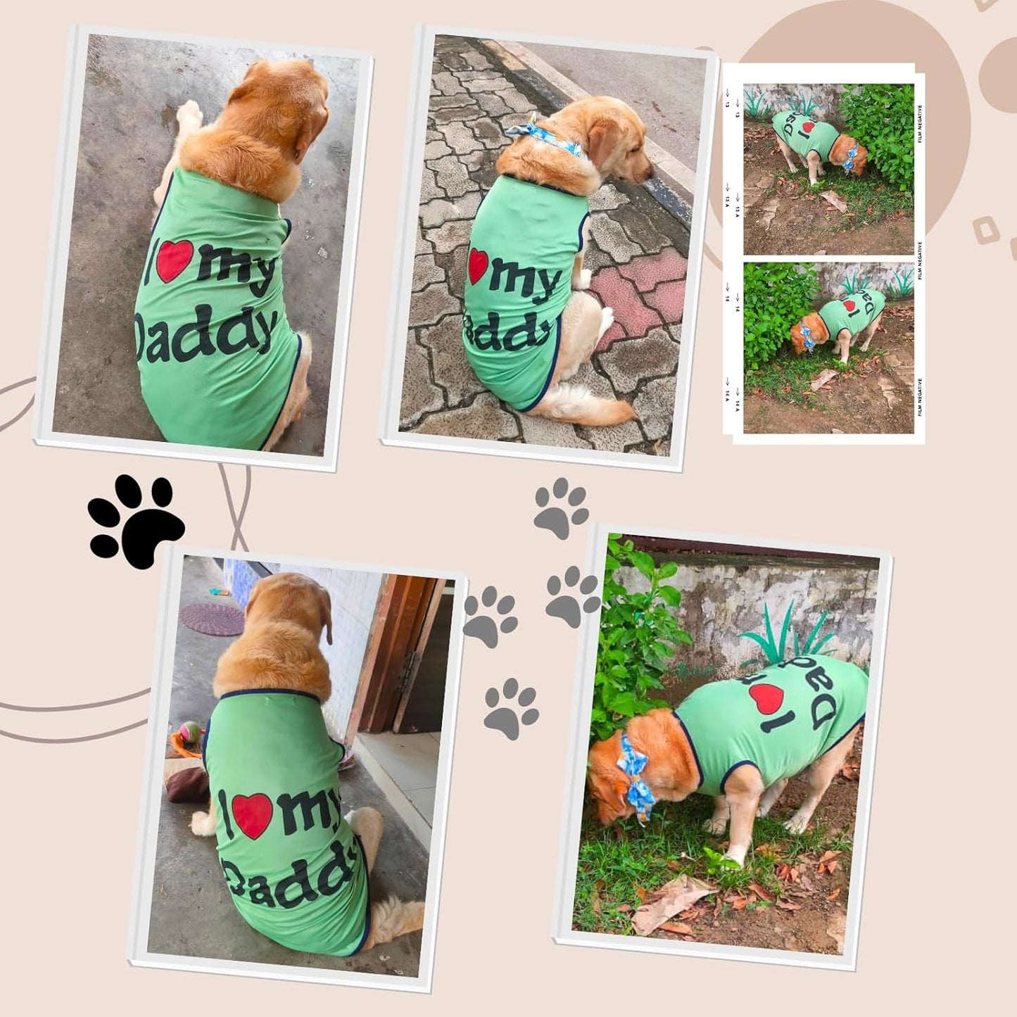 Printed Sleeveless Pet T-Shirt