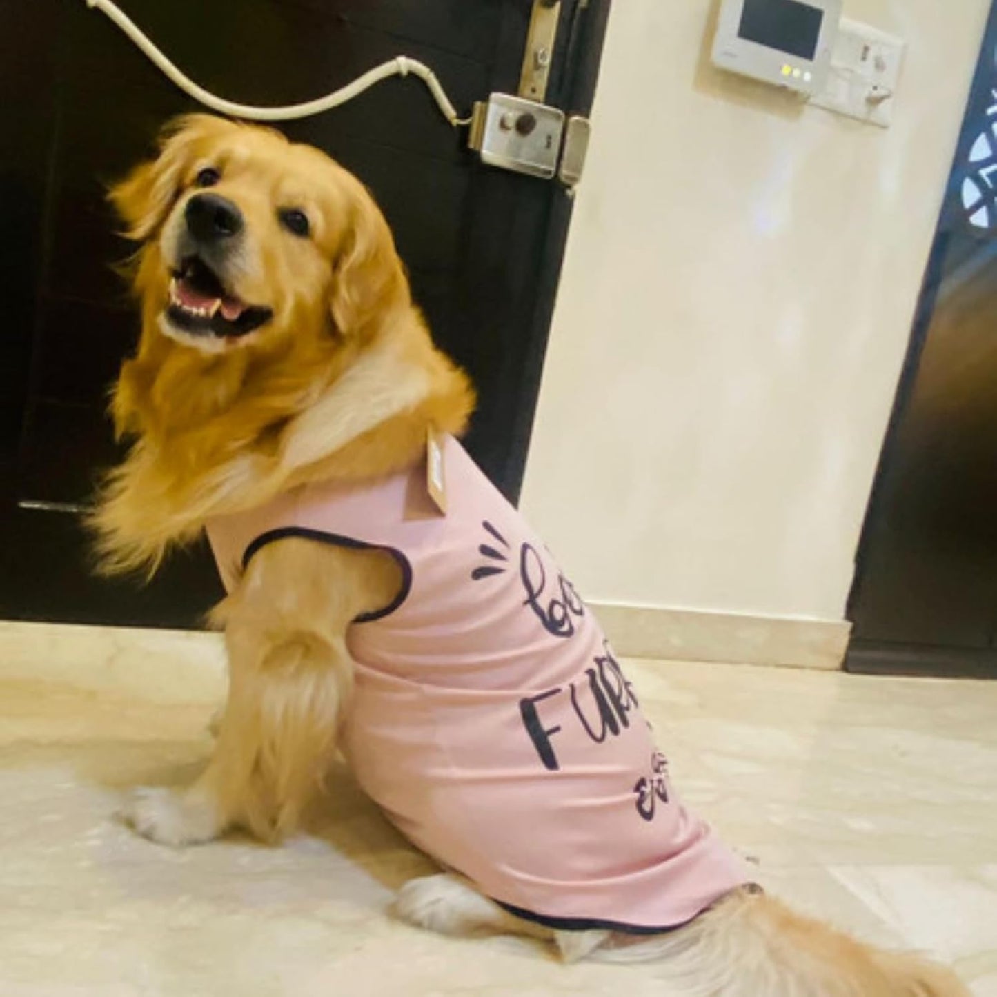 Printed Sleeveless Pet T-Shirt (Pink)