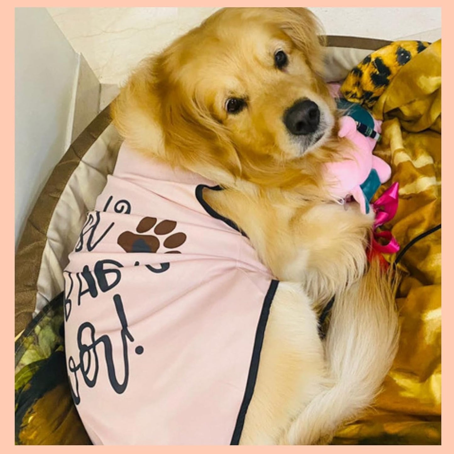 Printed Sleeveless Pet T-Shirt (Pink)