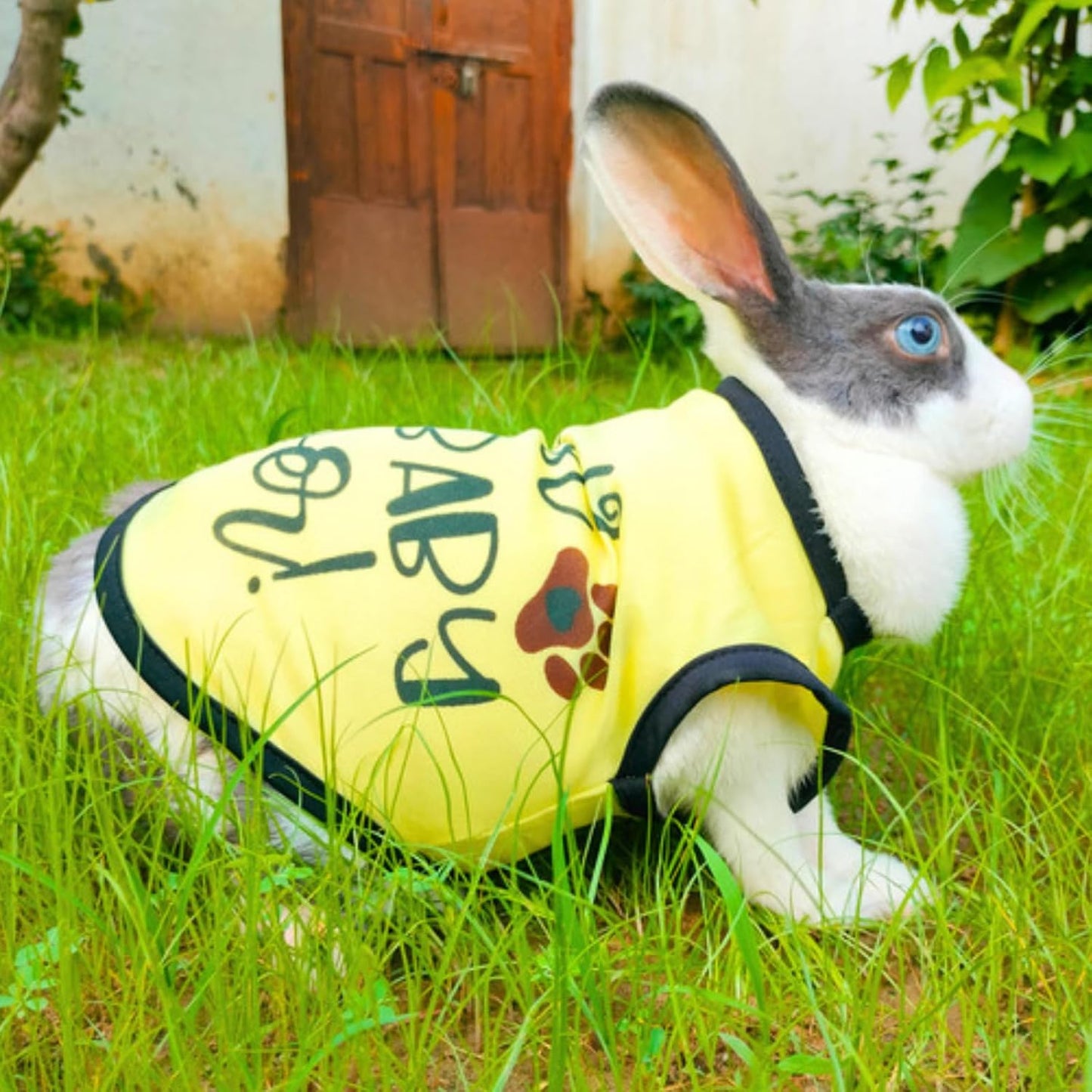 Printed Sleeveless Pet T-Shirt (Yellow)