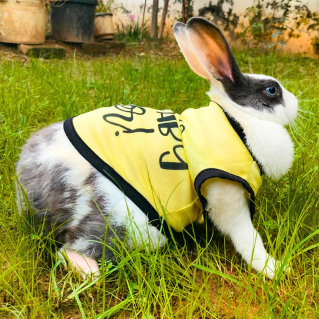 Printed Sleeveless Pet T-Shirt (Yellow)