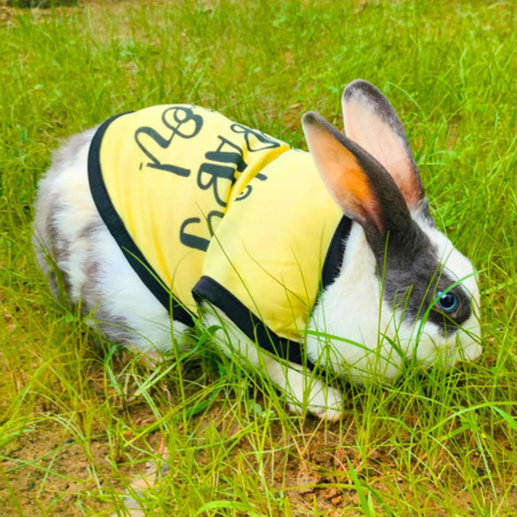 Printed Sleeveless Pet T-Shirt (Yellow)