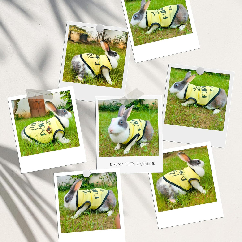 Printed Sleeveless Pet T-Shirt (Yellow)