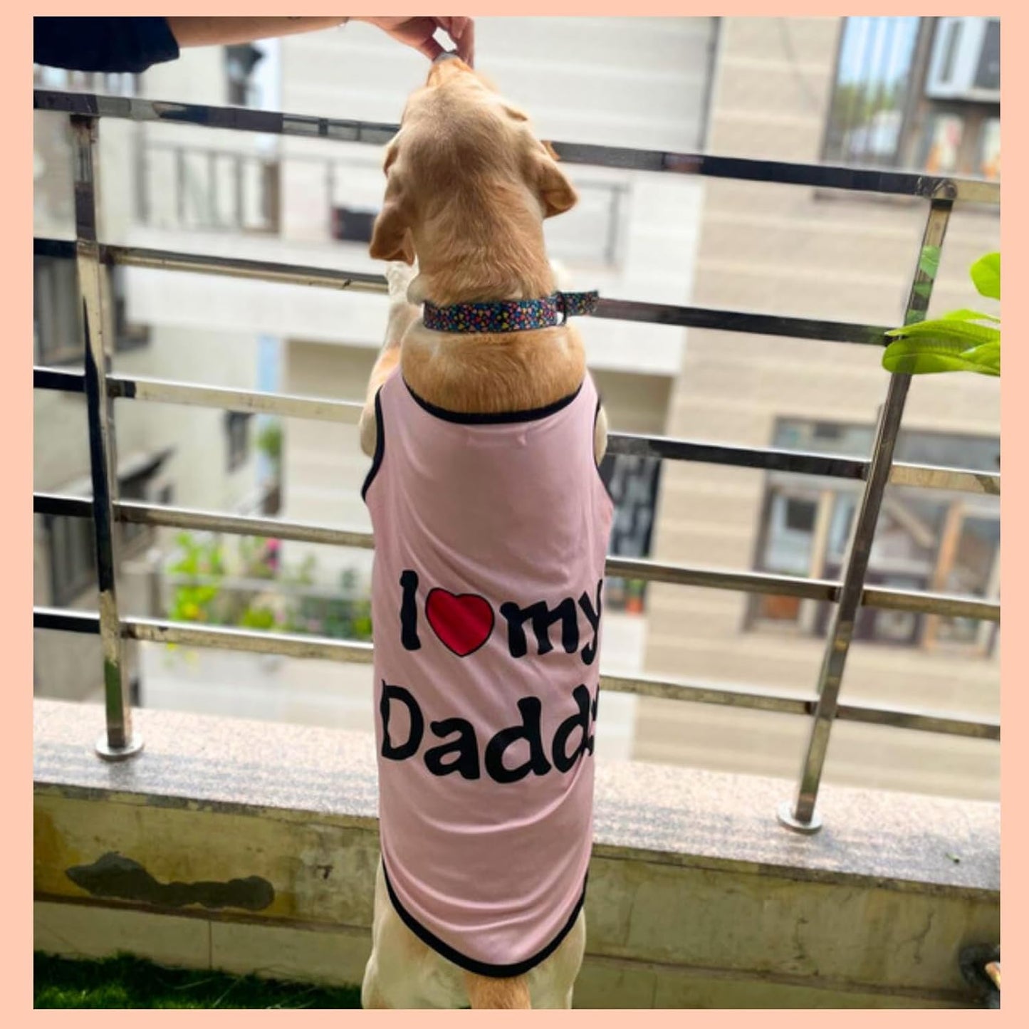 Printed  Pet T-Shirt for summer