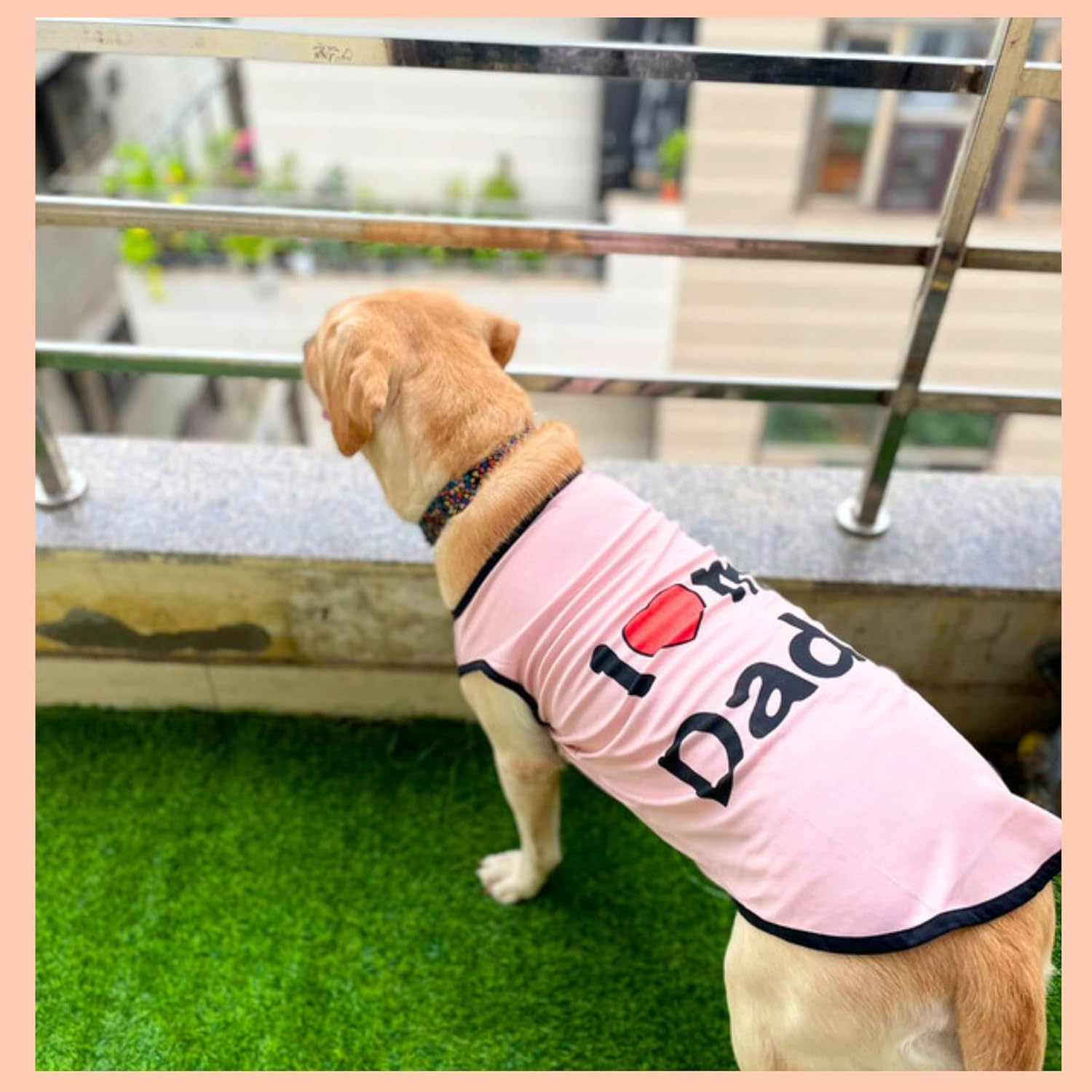 Printed  Pet T-Shirt for summer