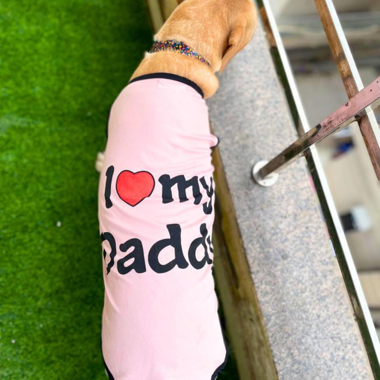 Printed  Pet T-Shirt for summer