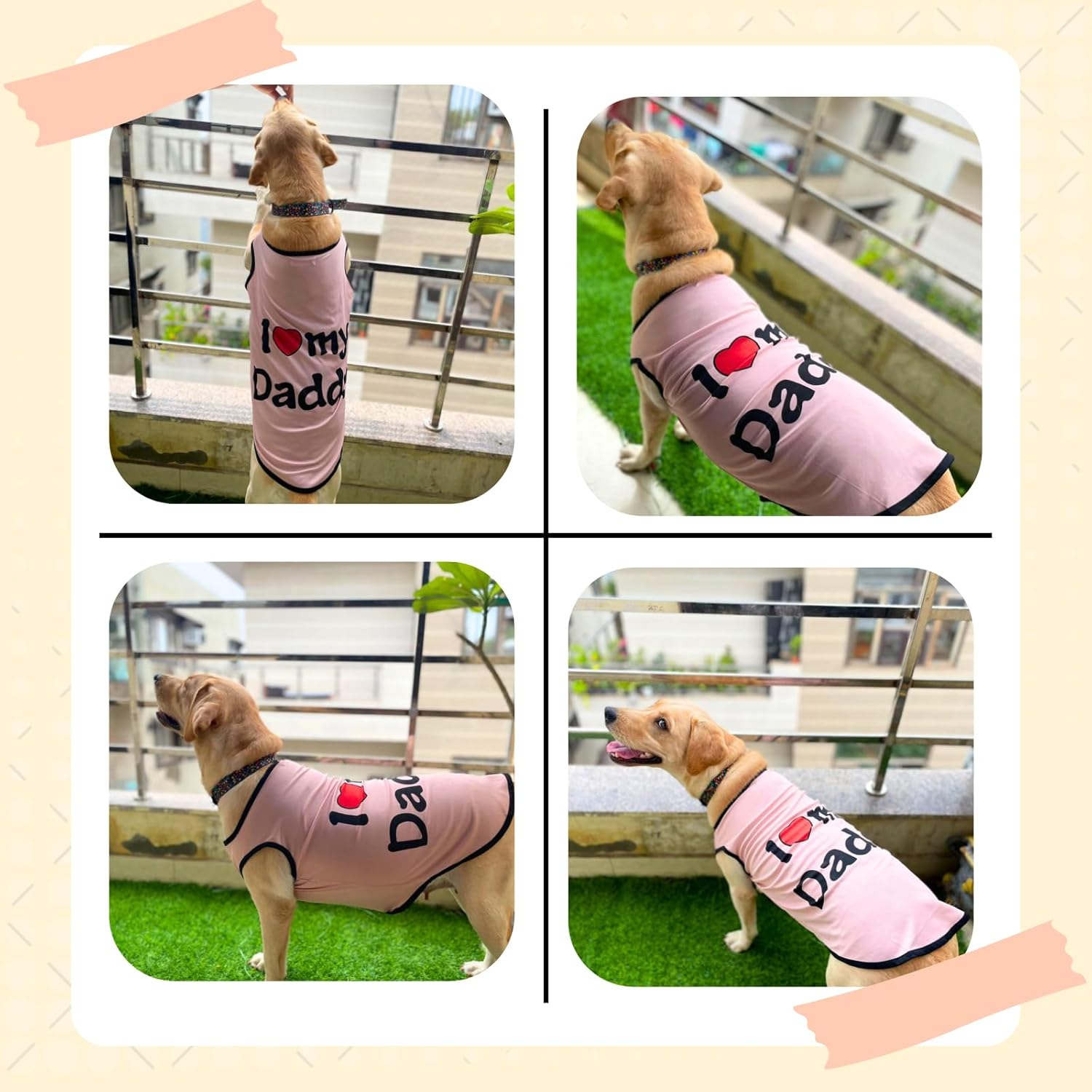 Printed  Pet T-Shirt for summer