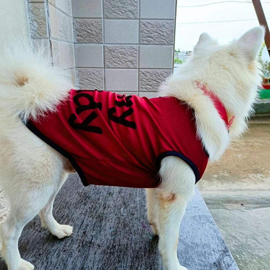 Printed Sleeveless Pet T-Shirt