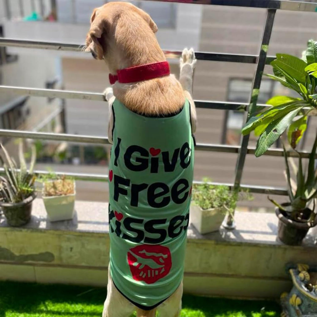 Printed Summer T-Shirts for Dogs