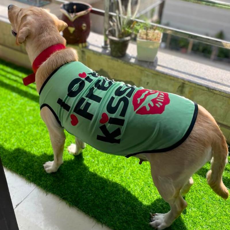Printed Summer T-Shirts for Dogs