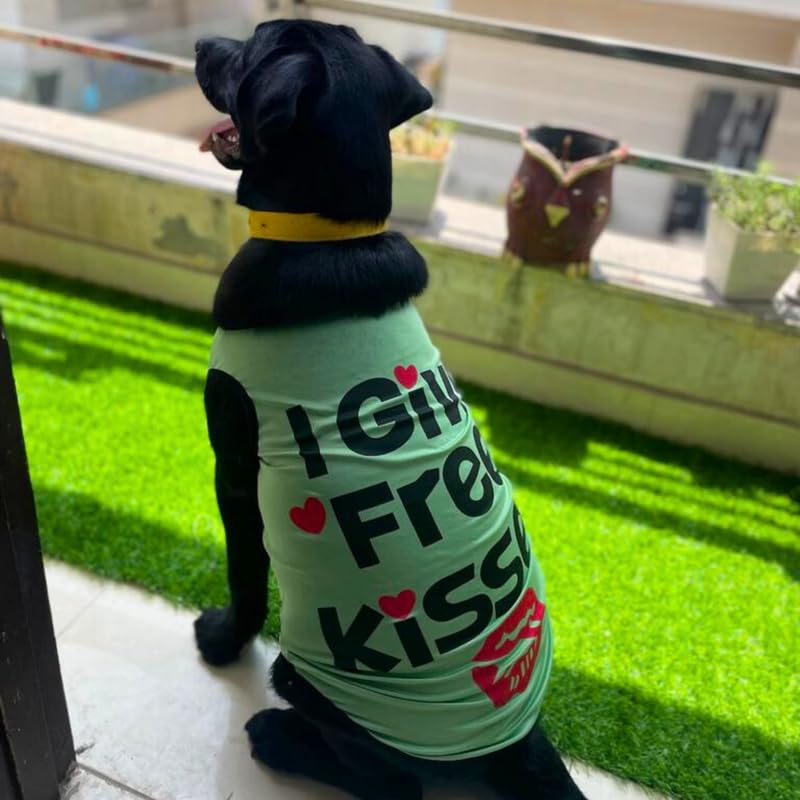 Printed Summer T-Shirts for Dogs