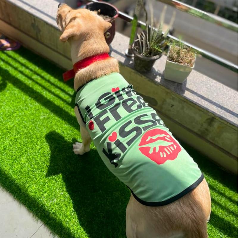 Printed Summer T-Shirts for Dogs